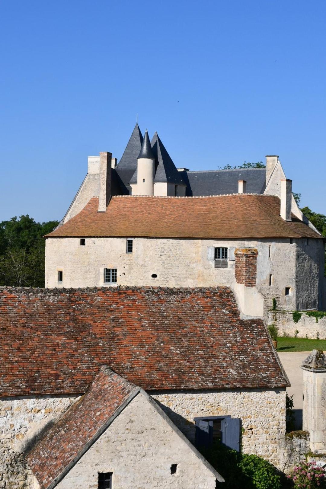 Chateau De Meauce, Gite Du Vigneron Saincaize-Meauce Екстериор снимка